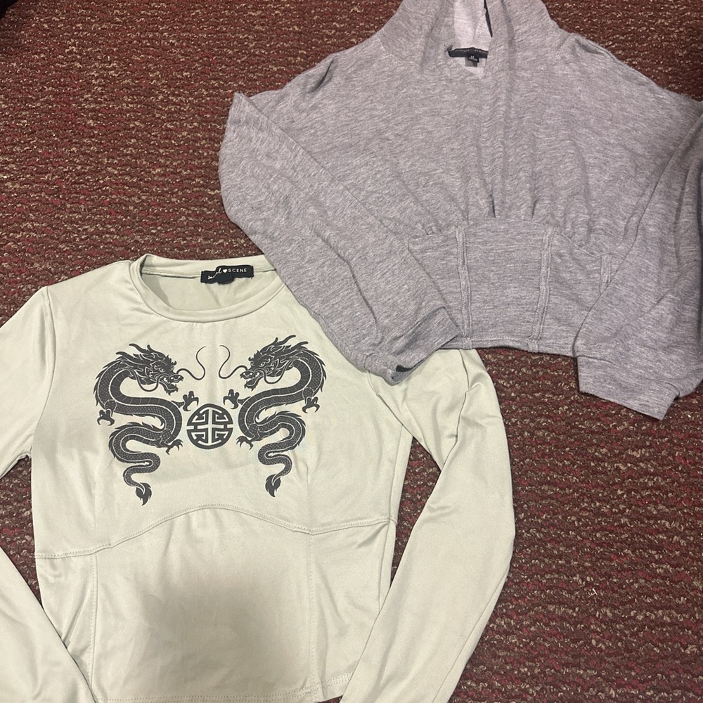 Dragon Print Top and Gray Cropped Cardigan